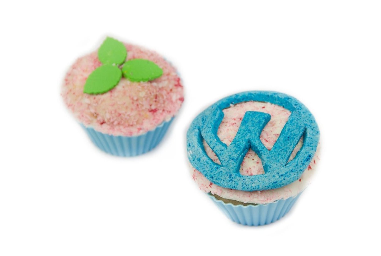 wordpress code editor